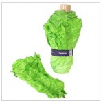 umbrella – veggie-brella-2