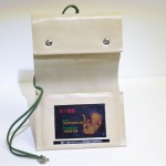 pioneer-3d-printer-hologram-child-embryo-4