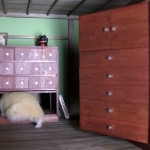ninja hamster house 06 – ninja-dresser