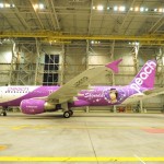 mariko-shinoda-akb48-peach-airplane-2