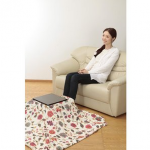 kotatsu-for-singles-02
