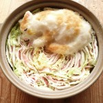 daikon oroshi art 05