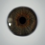 under-the-skin-exclusive-poster-02