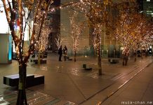 Cahaya Musim Dingin Di Tokyo