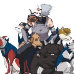 summon naruto 10 – ninken