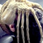 Film-Alien-Wajib-Tonton-2
