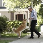 Artikel 600_8 Film Tentang Hewan2