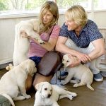 Artikel 600_8 Film Tentang Hewan3