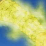 Artikel 600_7 Senjata Kuno Rikudo Sennin4