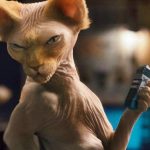 Artikel 600_8 Film Hewan Peliharaan Terbaik8