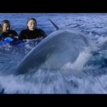 Artikel 600_8 Film Tentang Hiu Terseram6