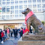 8 Film Tentang Anjing Terbaik1