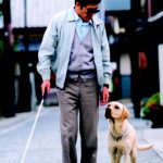 8 Film Tentang Anjing Terbaik4