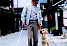 8 Film Tentang Anjing Dari Kisah Nyata