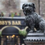 8 Film Tentang Anjing Terbaik6