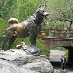 8 Film Tentang Anjing Terbaik7