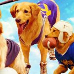 8 Film Tentang Anjing Terbaik8