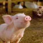 8 Film Adaptasi Buku Anak Anak Terbaik4