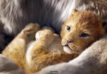 8 Film Terbaik Sepanjang Tahun 2019, Sudah Menonton Semua?