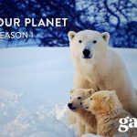 0DE4FD31-E1B4-460D-9396-5B310327F13F