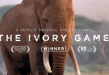 10 Film Dokumenter Tentang Alam Terbaik, Membangun Kesadaran Pecinta Alam