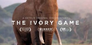 10 Film Dokumenter Tentang Alam Terbaik, Membangun Kesadaran Pecinta Alam