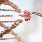 Tren Teknologi Masa Depan – Bioteknologi